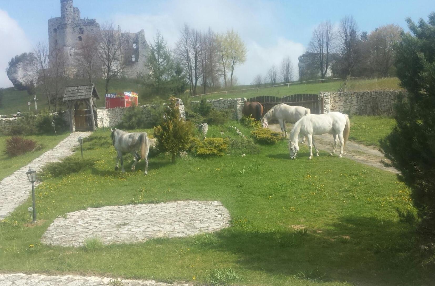Alloggio per agriturismo W Mirowie